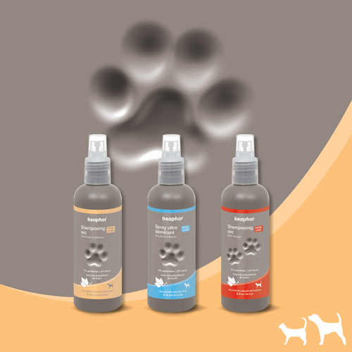 Visuel 5 du produit Hygiène Chien – Beaphar spray shampooing sec premium – 200 ml