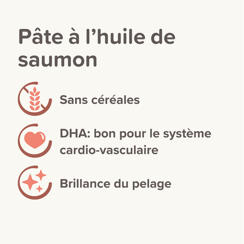 Visuel 3 du produit Pâte au saumon spécial beauté du pelage du chat - 100 g