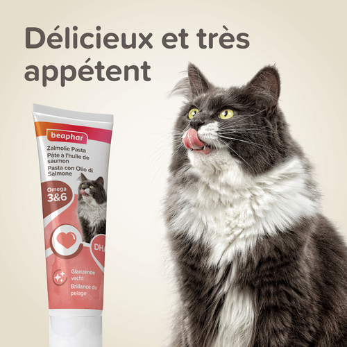 Visuel 5 du produit Pâte multivitaminée à la taurine et aux omégas pour chat - 100 g