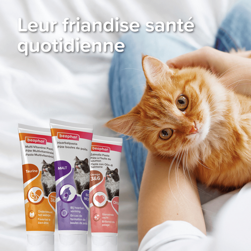 Visuel 6 du produit Pâte au saumon spécial beauté du pelage du chat - 100 g