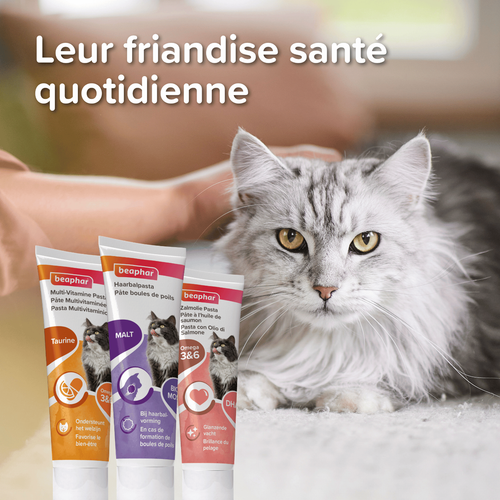 Visuel 6 du produit Pâte multivitaminée à la taurine et aux omégas pour chat - 100 g