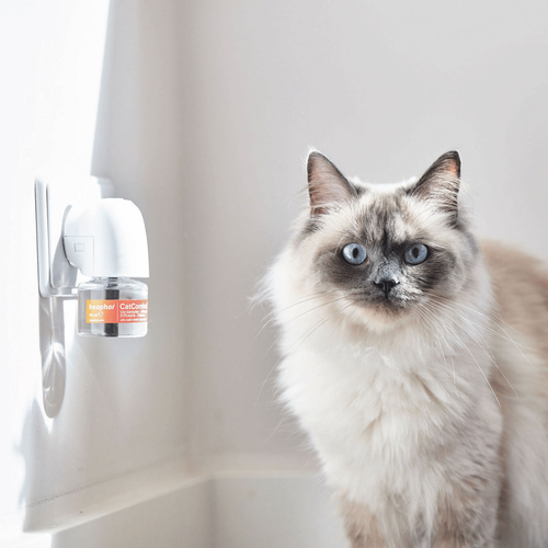 Visuel 4 du produit Soin Chat - Beaphar Recharge pour diffuseur CatComfort Excellence - 48 ml