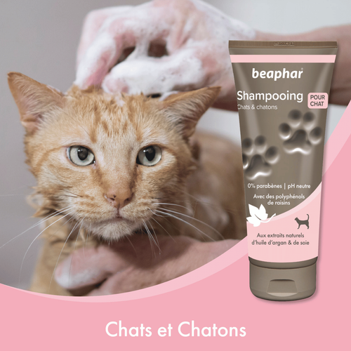 Visuel 4 du produit Hygiène Chat – Beaphar shampooing premium tous pelages – 200 ml