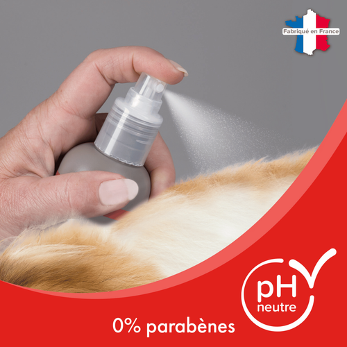 Visuel 3 du produit Hygiène Chat – Beaphar shampooing sec premium – 200 ml