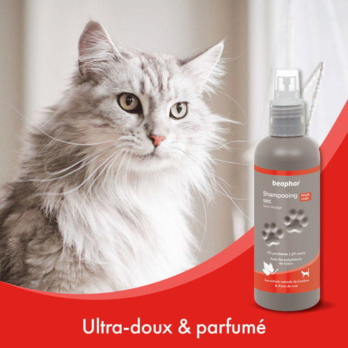 Visuel 4 du produit Hygiène Chat – Beaphar shampooing sec premium – 200 ml