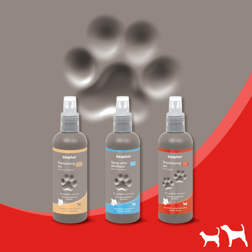 Visuel 5 du produit Hygiène Chat – Beaphar shampooing sec premium – 200 ml