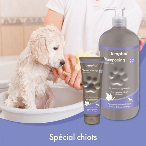 Visuel 4 du produit Hygiène Chien – Beaphar Shampooing Premium Chiot – 250 ml