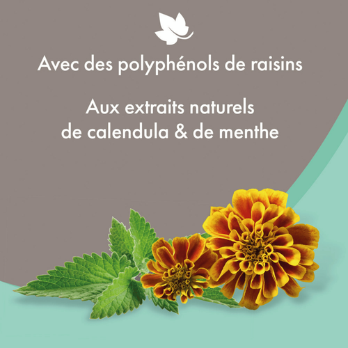 Visuel 2 du produit Hygiène Chien – Beaphar shampooing premium anti-démangeaisons – 250 ml