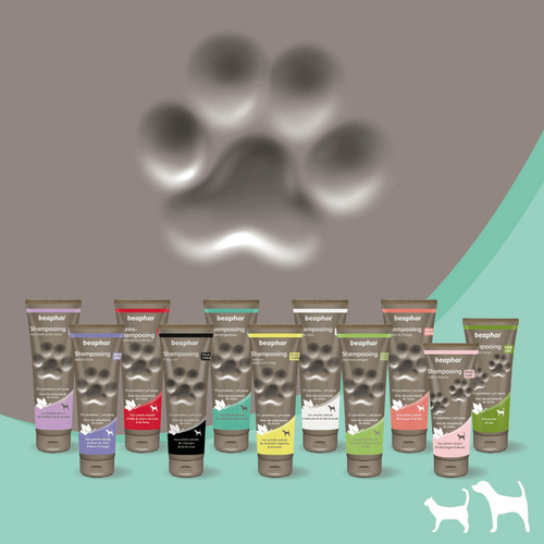 Visuel 5 du produit Hygiène Chien – Beaphar shampooing premium anti-démangeaisons – 250 ml
