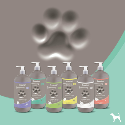 Visuel 6 du produit Hygiène Chien – Beaphar shampooing premium anti-démangeaisons – 750 ml