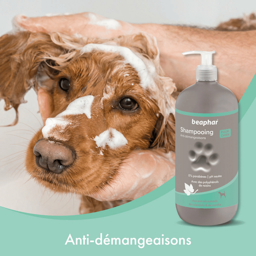 Visuel 5 du produit Hygiène Chien – Beaphar shampooing premium anti-démangeaisons – 750 ml