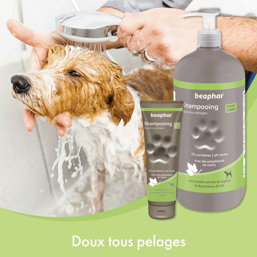 Visuel 4 du produit Hygiène Chien – Beaphar shampooing premium doux tous pelages – 250 ml