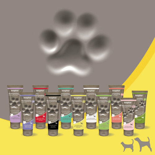 Visuel 5 du produit Hygiène Chien – Beaphar shampooing premium démêlant 2 en 1 – 250 ml