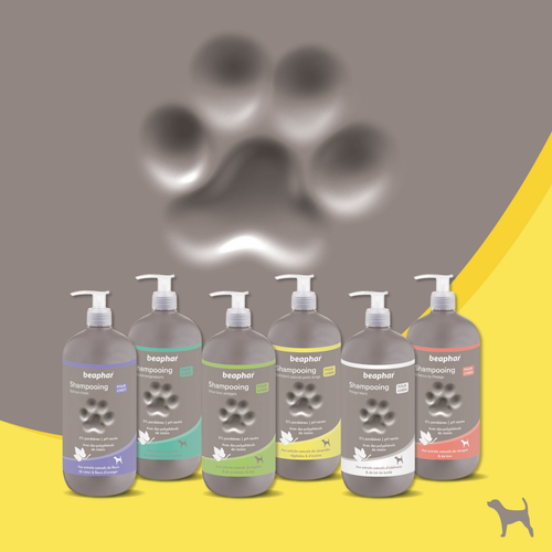 Visuel 5 du produit Hygiène Chien – Beaphar shampooing premium démêlant 2 en 1 – 750 ml
