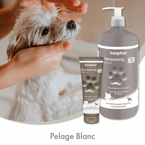 Visuel 4 du produit Hygiène Chien – Beaphar shampooing premium pelage blanc – 250 ml