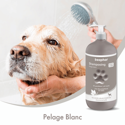 Visuel 4 du produit Hygiène Chien – Beaphar shampooing premium pelage blanc – 750 ml