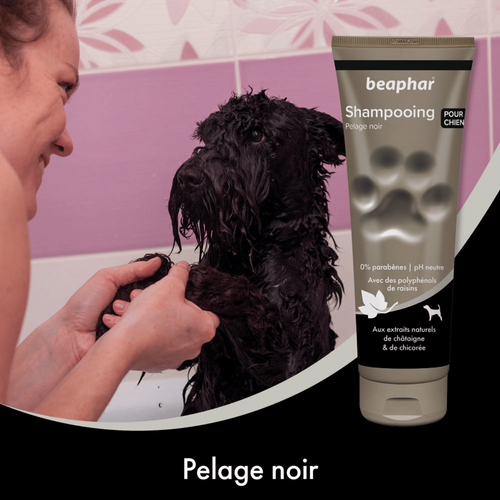 Visuel 4 du produit Hygiène Chien – Beaphar shampooing premium pelage noir – 250 ml