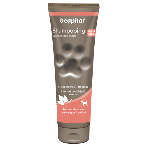 Visuel 1 du produit Hygiène Chien – Beaphar shampooing premium éclat du pelage – 250 ml