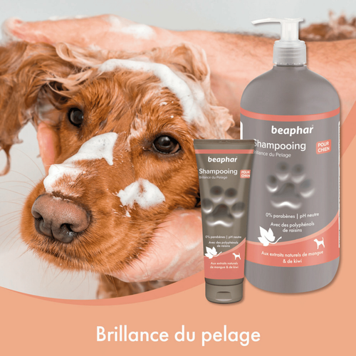 Visuel 4 du produit Hygiène Chien – Beaphar shampooing premium éclat du pelage – 250 ml