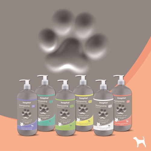 Visuel 5 du produit Hygiène Chien – Beaphar shampooing premium éclat du pelage – 750 ml