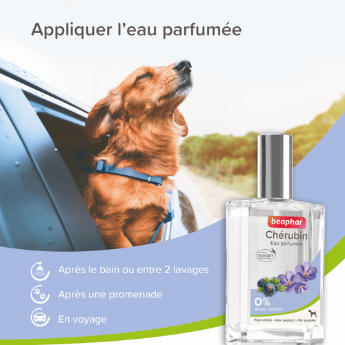 Visuel 3 du produit Soin Chien - Beaphar Eau parfumée Chérubin pour chiot - 50 ml