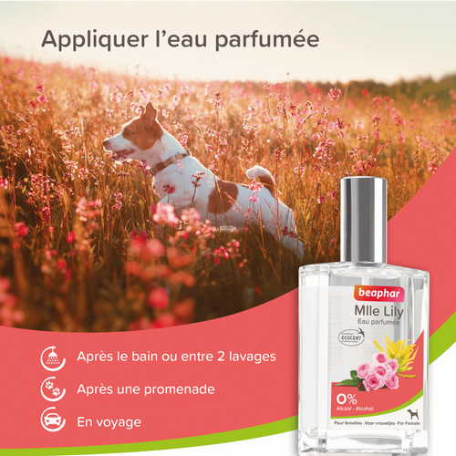 Visuel 3 du produit Soin Chien - Beaphar Eau parfumée Mlle Lilly pour chien femelle - 50 ml