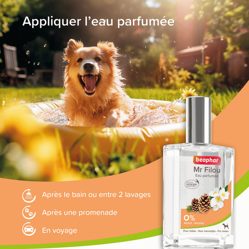 Visuel 3 du produit Soin Chien - Beaphar Eau parfumée Mr Filou pour chien mâle - 50 ml