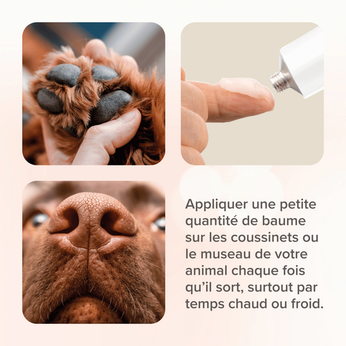 Visuel 4 du produit Soin Chien et chat – Beaphar Baume Coussinets Plantaires – 40 ml