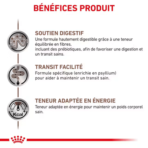 Visuel 4 du produit Croquettes Chat – Royal Canin Gastrointestinale – 2 kg