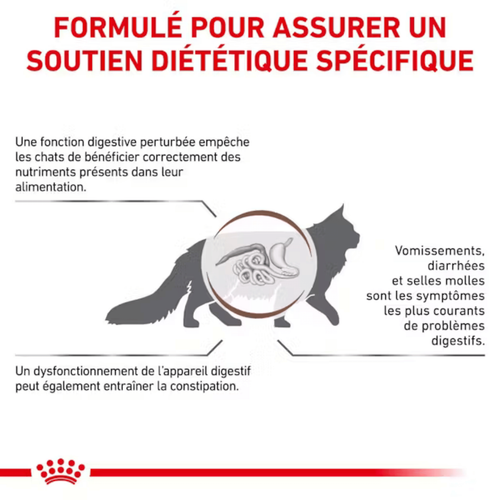 Visuel 6 du produit Croquettes Chat – Royal Canin Gastrointestinale – 2 kg