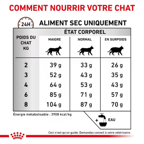 Visuel 7 du produit Croquettes Chat – Royal Canin Gastrointestinale – 2 kg