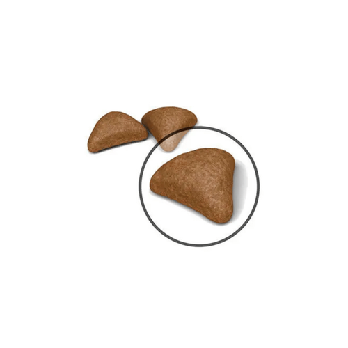 Visuel 2 du produit Croquettes Chat – Royal Canin Hairball Care - 2 kg