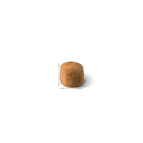 Visuel 3 du produit Croquettes Chat – Royal Canin Maine Coon -  4 kg