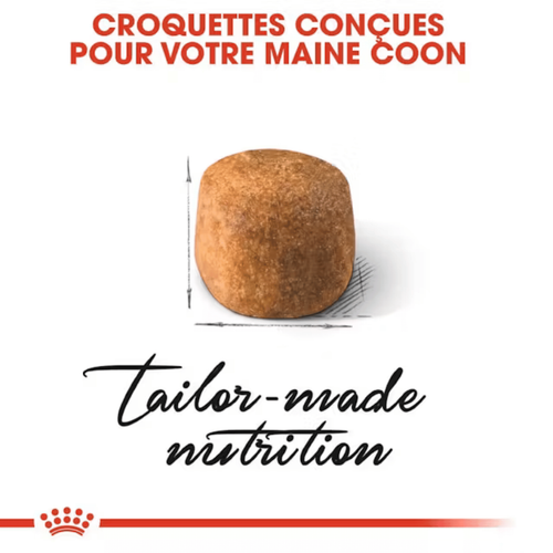 Visuel 5 du produit Croquettes Chat – Royal Canin Maine Coon -  4 kg