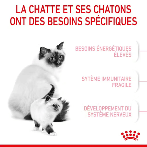 Visuel 4 du produit Croquettes Chat – Royal Canin Mother & Babycat - 4kg