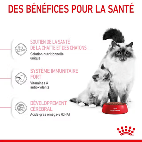 Visuel 5 du produit Croquettes Chat – Royal Canin Mother & Babycat - 4kg