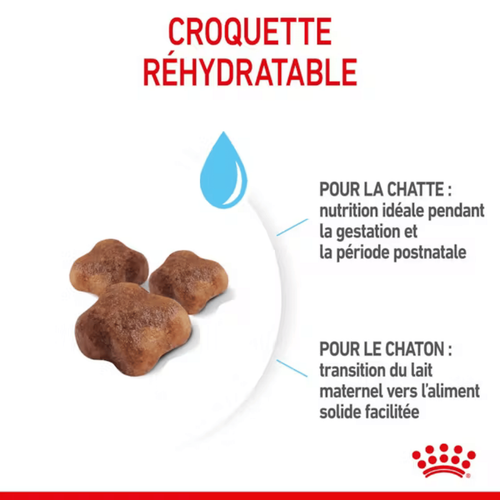 Visuel 6 du produit Croquettes Chat – Royal Canin Mother & Babycat - 4kg