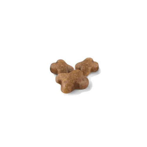 Visuel 2 du produit Croquettes Chat – Royal Canin Kitten 36 – 2 kg