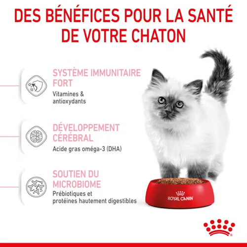 Visuel 5 du produit Croquettes Chat – Royal Canin Kitten 36 – 2 kg