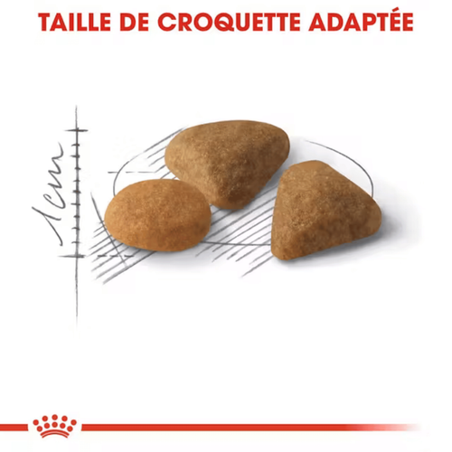 Visuel 3 du produit Croquettes Chat – Royal Canin Savour Exigent – 2 kg