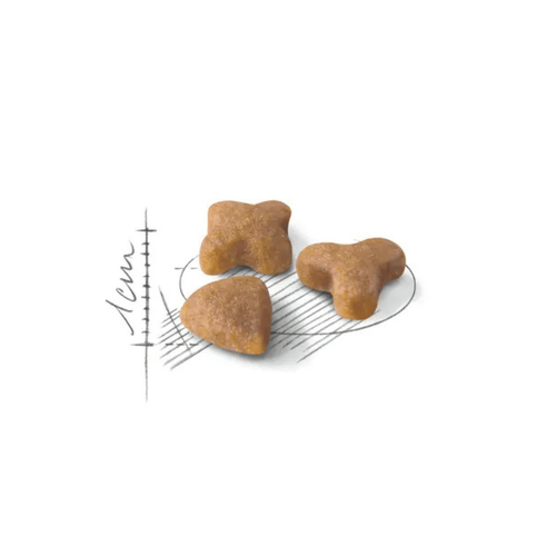 Visuel 2 du produit Croquettes Chat – Royal Canin Sensible 33 – 4 kg