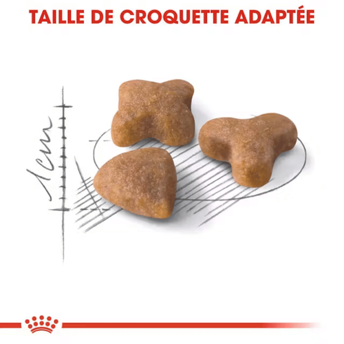 Visuel 5 du produit Croquettes Chat – Royal Canin Sensible 33 – 4 kg