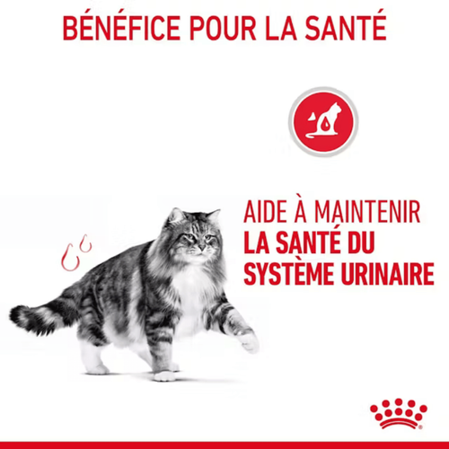 Visuel 5 du produit Croquettes Chat – Royal Canin Urinary Care – 2 kg