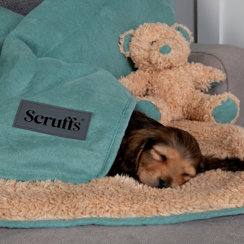 Visuel 6 du produit Couchage Chien - Scruffs Pack couverture Ourson - 110 x 72,5 cm