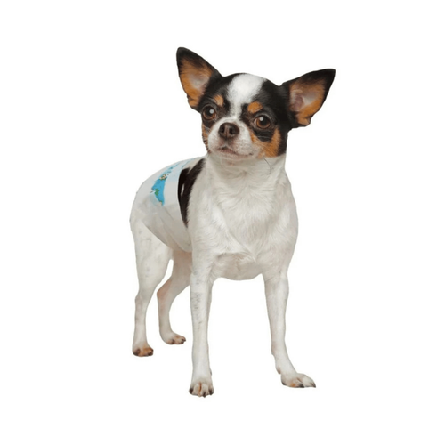 Visuel 5 du produit Hygiène Chien - Couches Croci Dog Nappy