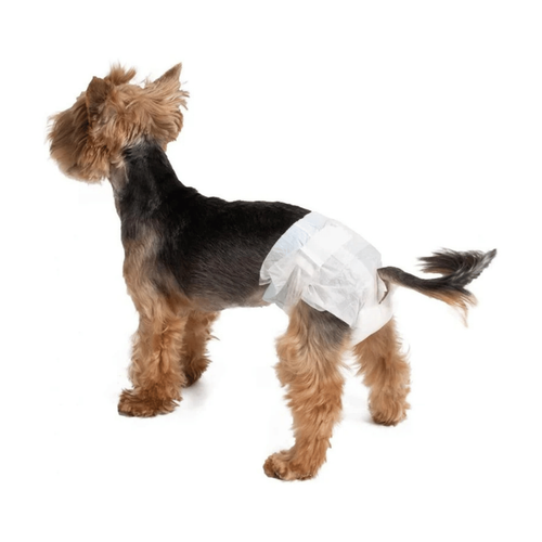 Visuel 6 du produit Hygiène Chien - Couches Croci Dog Nappy