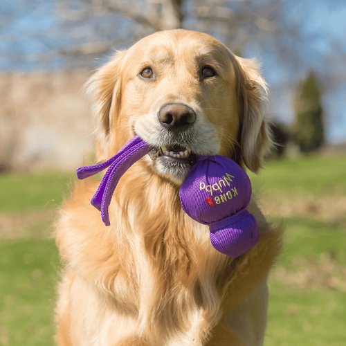 Visuel 4 du produit Jouet Chien – KONG® Wubba Multicolore – Coloris Aléatoire