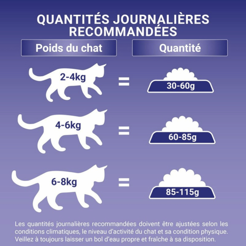 Visuel 5 du produit Croquettes Chat – Purina One Adulte Saumon Céréales Complètes – 1,5 kg