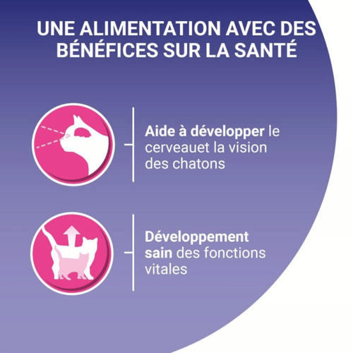 Visuel 5 du produit Croquettes Chat – Purina One Junior Poulet Céréales Complètes – 1,5 kg