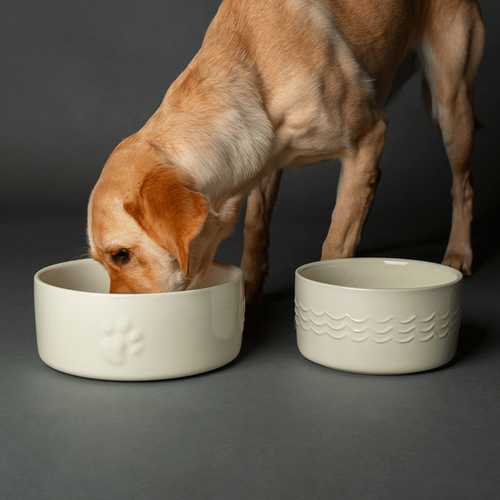 Visuel 4 du produit Gamelle Chien – Scruffs Gamelle Icon repas gris – Ø 13 x 5 cm